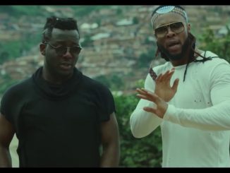 Flavour – Ijele