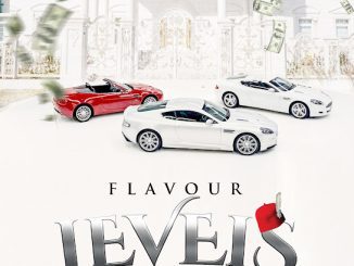 Flavour – Levels