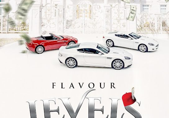 Flavour – Levels