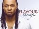 Flavour – Wiser