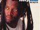 Lucky Dube – The Way It Is