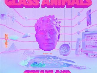 Glass Animals – I Don't Wanna Talk (I Just Wanna Dance)