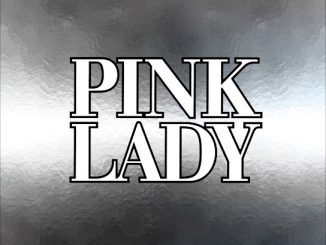 PINK LADY – Kiss In The Dark