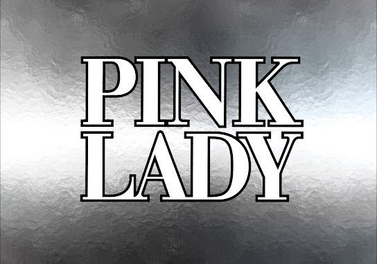 PINK LADY – Kiss In The Dark