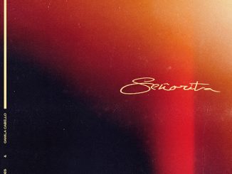 Shawn Mendes - Señorita ft. Camila Cabello