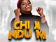 Blessing Udoeze - Chi Ji Ndu M