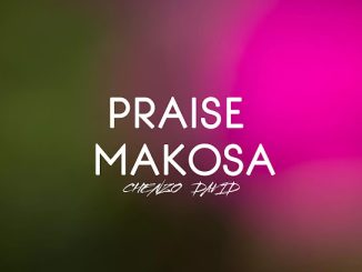 Chenzo David - Praise Makosa