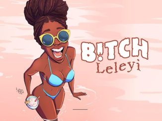 DJ CORA - Bitch Leleyi