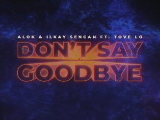 Alok - Don't Say Goodbye Ft. Ilkay Sencan & Tove Lo