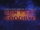 Alok - Don't Say Goodbye Ft. Ilkay Sencan & Tove Lo