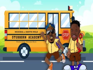 Medikal Ft. Shatta Wale – Stubborn Academy