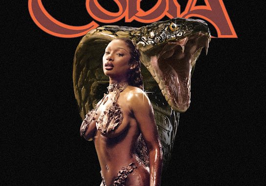 Megan Thee Stallion - Cobra