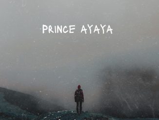 Prince Ayaya - Afro love U