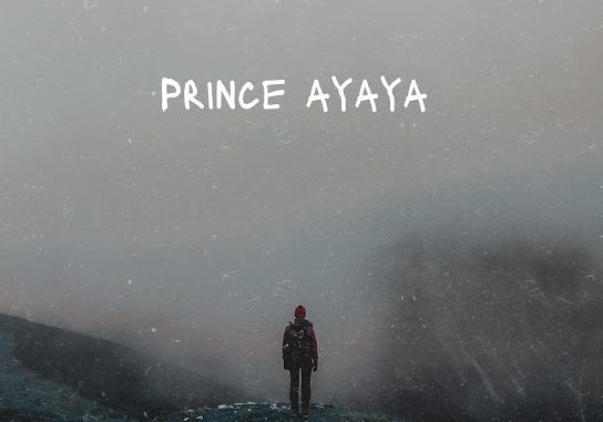 Prince Ayaya - Afro love U