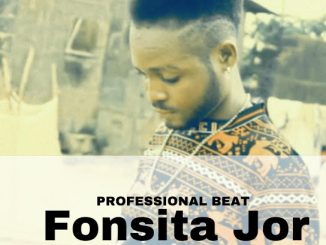 Professional Beat - Fonsita jor