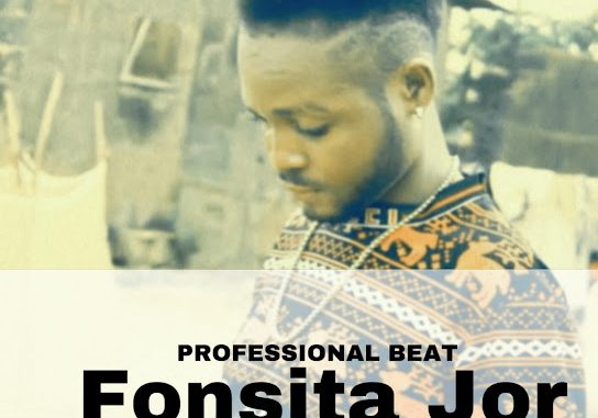 Professional Beat - Fonsita jor