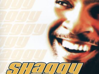 Shaggy - It Wasn't Me ft. Ricardo Ducent