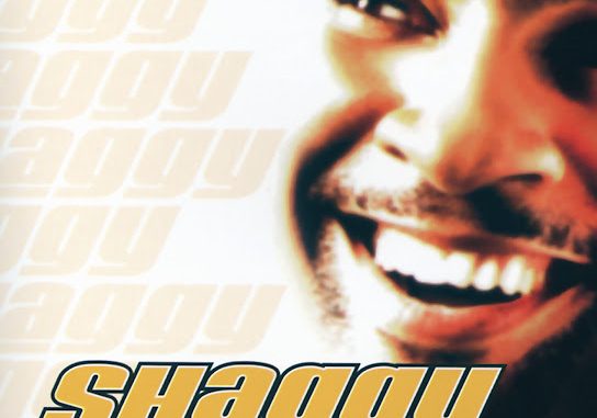 Shaggy - It Wasn't Me ft. Ricardo Ducent