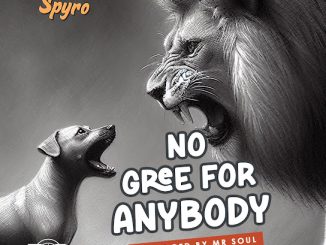 Spyro - No Gree For Anybody (NGFA) (Prod. Mr Soul)