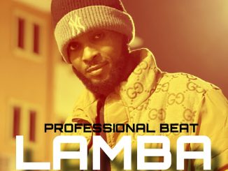 Professional Beat - Lamba move