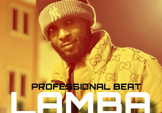 Professional Beat - Lamba move